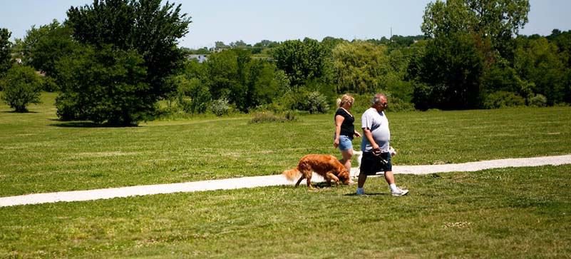 Best Dog Parks in Kansas City - KC Parent Magazine